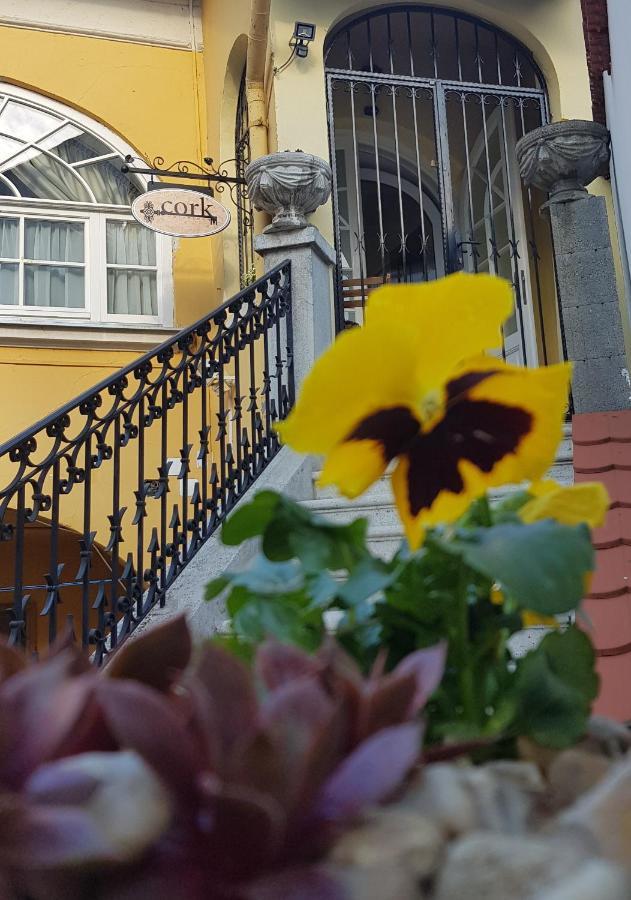 Cork Apartman 埃格尔 外观 照片
